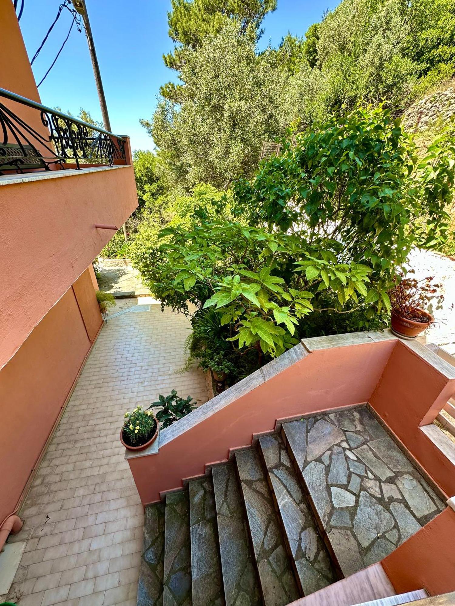Horizon Apartments Agios Gordios  Extérieur photo